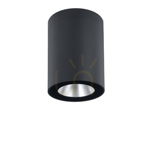 Vonkajšie stropné svietidlo Norlys Nidaros 2121GR grafitové LED 8,3 W 3000 K 18 cm small 3