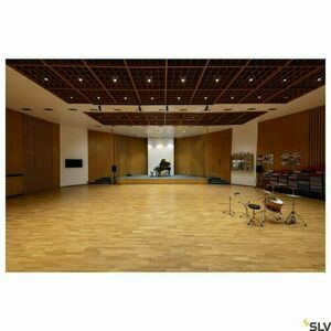 Stropné svietidlo SLV NUMINOS CL PHASE L čierne 28W 3000K 1004323 small 3