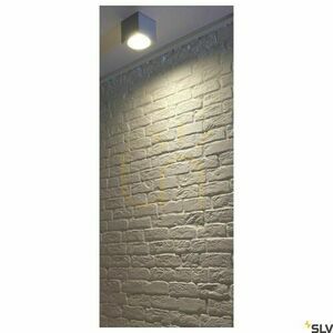 Vonkajšie stropné svietidlo SLV BIG THEO sivé sklo IP44 75W 229554 small 1