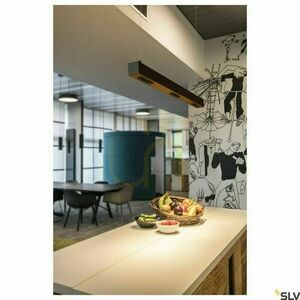 Závesné svietidlo SLV Q-LINE PD biele 46W 3000K 100 cm 1000926 small 3