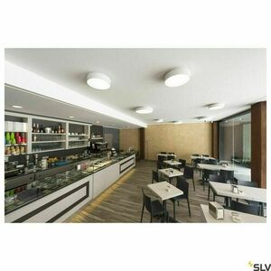 Stropné svietidlo SLV MEDO 40 biele LED 28 W 3000 K 2450 lm 135071 small 2