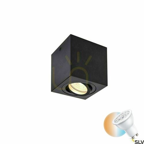 Skontrolujte Prisadené svietidlo TRILEDO Square CL 1002013 čierne, GU10 max 10 W, otáčanie 350°/náklon 20°