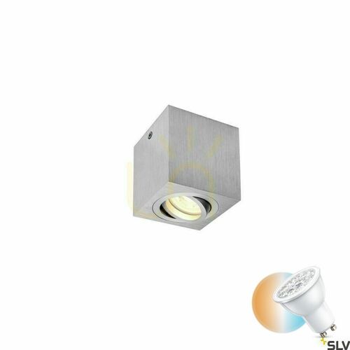 Skontrolujte Stropné svietidlo SLV TRILEDO SQUARE CL GU10 hliník 10 W 1002004