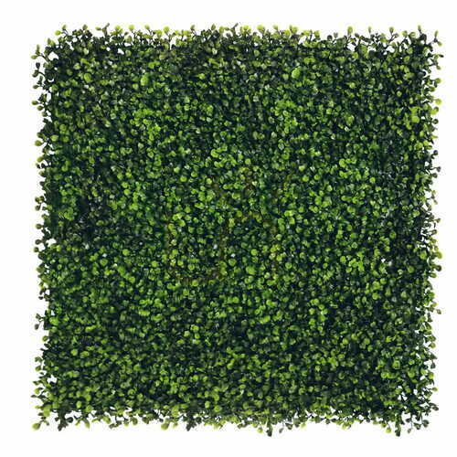 Skontrolujte Zelená stena Boxwood 40x60cm