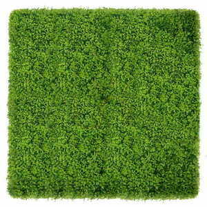 Buxus zelená stena 40x60cm small 1