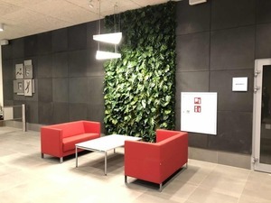 Vertikálna záhrada na Kokosovom ostrove small 5