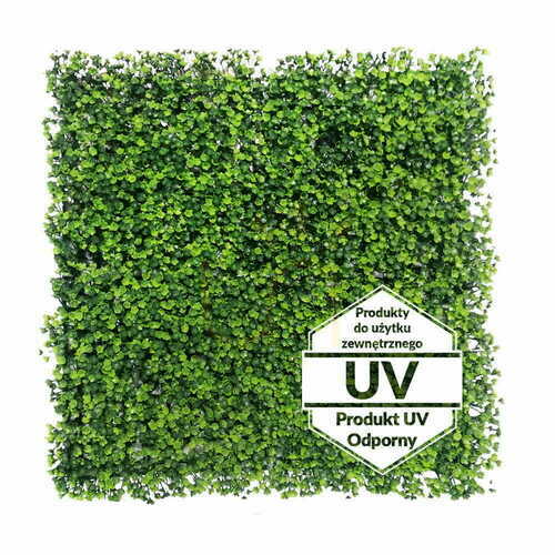 Skontrolujte Umelá zelená podložka UV riasy 50x50cm
