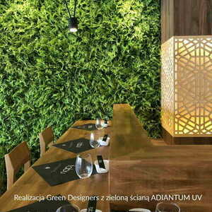 Adiantum UV umelá zelená rohož 50x50cm small 10