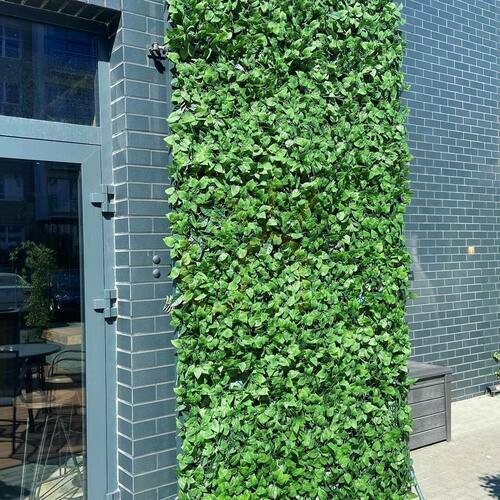 Skontrolujte Umelá zelená podložka Ivy UV 50x50cm