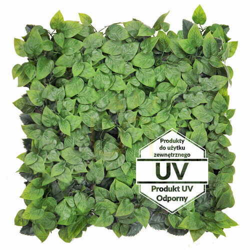 Skontrolujte Umelá zelená podložka Ivy UV 50x50cm