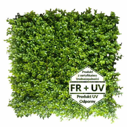 Skontrolujte Umelá zelená podložka Blueberry FR UV 50x50cm