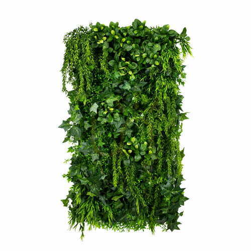 Skontrolujte Vertikálna záhrada Green Ivy