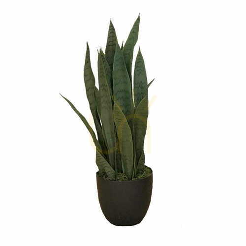 Skontrolujte Umelá rastlina Sansevieria Zelenica 65cm