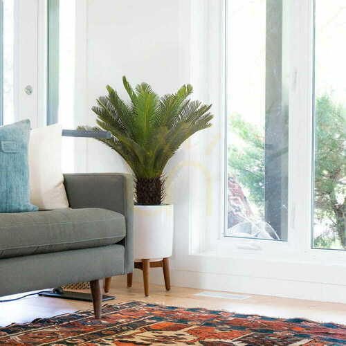 Skontrolujte Umelá rastlina Sagittarius Cycas 80cm