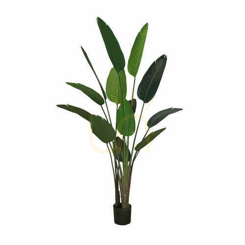 Skontrolujte Umelá črepníková rastlina Strelitzia 220cm