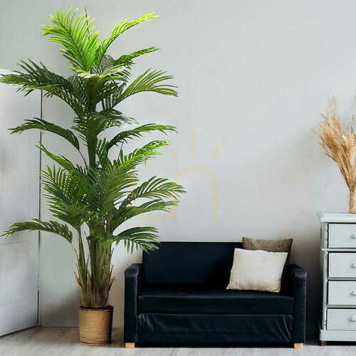 Skontrolujte Umelý dekoratívny stromček Ravenea Palm 180cm