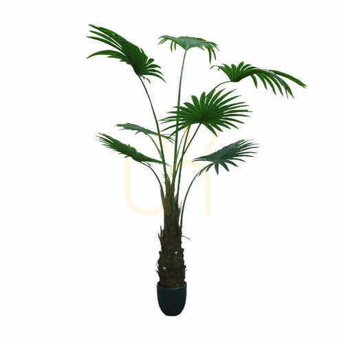 Skontrolujte Umelá palma v kvetináči Washingtonia Robusta 180cm