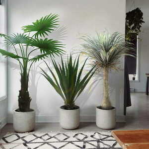 Umelá palma v kvetináči Washingtonia Robusta 140cm small 1