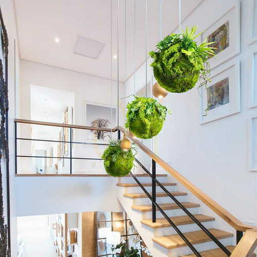 Skontrolujte Dekoračná guľa Kokedama Moss Ball 35 cm