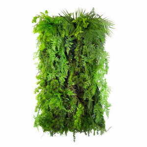 Vertikálna záhrada Green Designers Limba Wilderness GD119 50 × 100 cm small 0