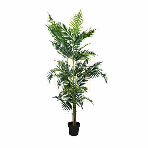 Skontrolujte Dekoratívna rastlina Palm Lutescens 180cm