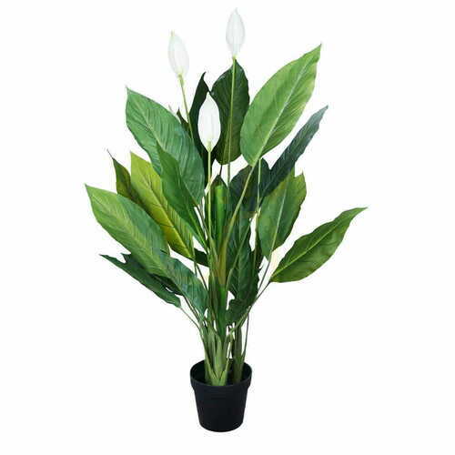Skontrolujte Dekoratívna rastlina Wingflower 120cm