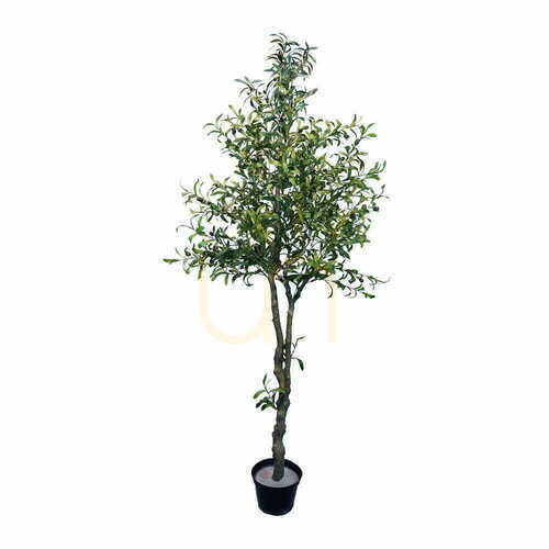 Skontrolujte Umelý 🌳 olivovník 🌳 olivovník 210cm - Premium