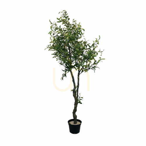 Skontrolujte Umelý olivovník 180 cm