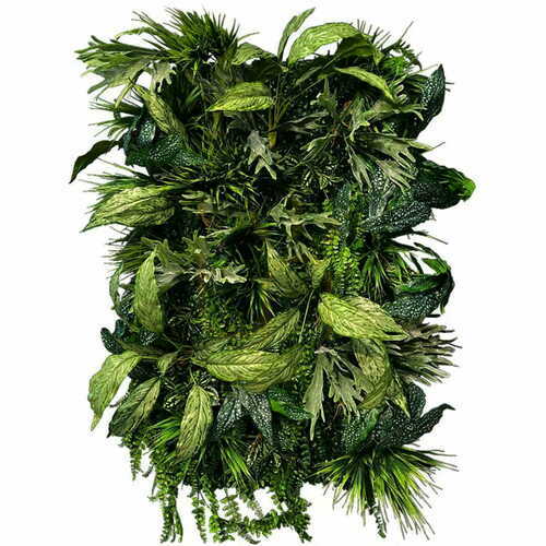Skontrolujte Vertikálna záhrada Flora Twist