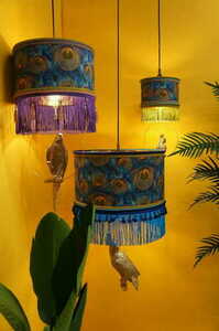 ARUBA Las Plumas small 2