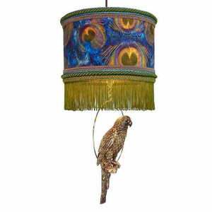 ARUBA Las Plumas small 0