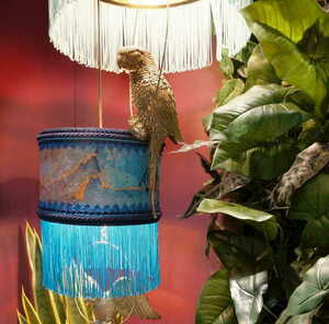 PALOMA N°1 Las Plumas small 2