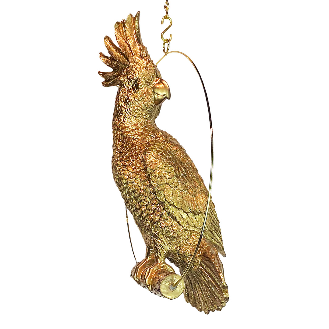 OBRÁZOK XL č. 1 Las Plumas.