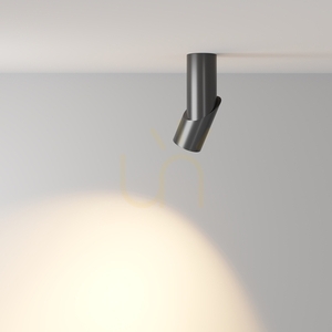 Plafón DAFNE C027CL-L10B Maytoni small 5