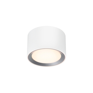 Kúpeľňové svietidlo LANDON Nordlux LED Metal White small 2