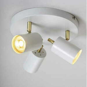 Stropné svietidlo Gull 59932 Endon small 2