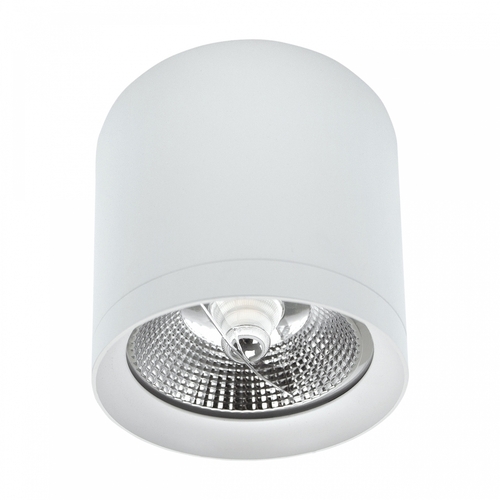 Skontrolujte Chloe Ar111 Povrchová montáž proti oslneniu Gu10 250 V Ip20 118x110 mm biela okrúhla.