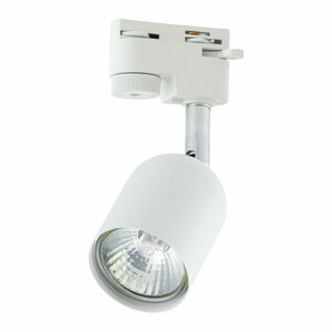 Tracer White 1 Pł Gu_10 small 0