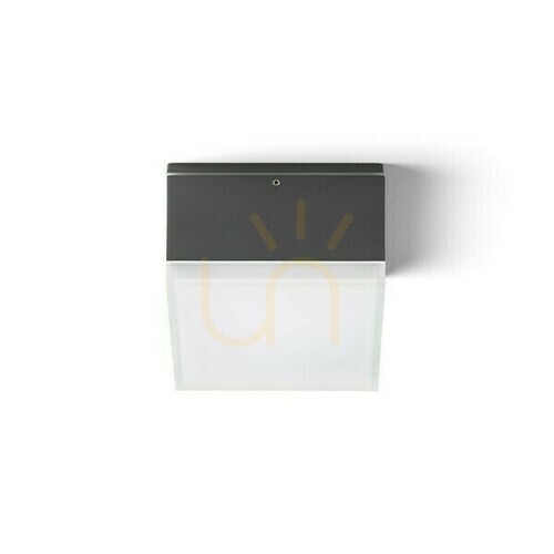 Skontrolujte Vonkajší strop Orin Sq Anthracite Satin Acrylic 230 V Led 10 W Ip54 3000 K
