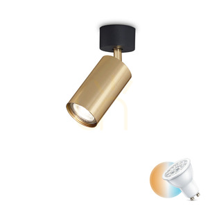 Plafón Ideallux DYNAMITE PL1 Ottone mosadzný GU10 244662 small 0