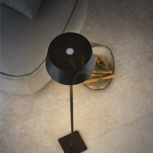 Vonkajšia stojaca lampa Ideallux PURE PT čierna LED 1,5 W 115 cm 328515 small 3