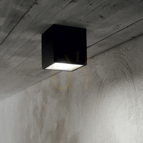 Skontrolujte Vonkajší stropný plafón Ideallux TECHO PL1 SMALL GRIGIO sivý GU10 326894