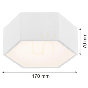 Plafón ARGON ARIZONA biely LED 10W IP20 3828 small 8
