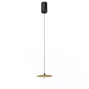 Otos Závesné svietidlo 1xLED Brúsené zlato PL0145 small 1