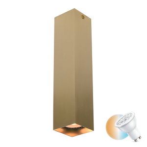 Svietidlo na povrchovú montáž Italux Ander GU10 čierne CLN-28394-L-GD small 0