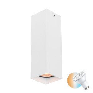 Svietidlo na povrchovú montáž Italux Ander GU10 biele CLN-28394-M-WH small 0