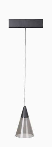 Skontrolujte Prívesné svietidlo Max Light MAX M0015Z Zigbee 6W čierne 169 cm