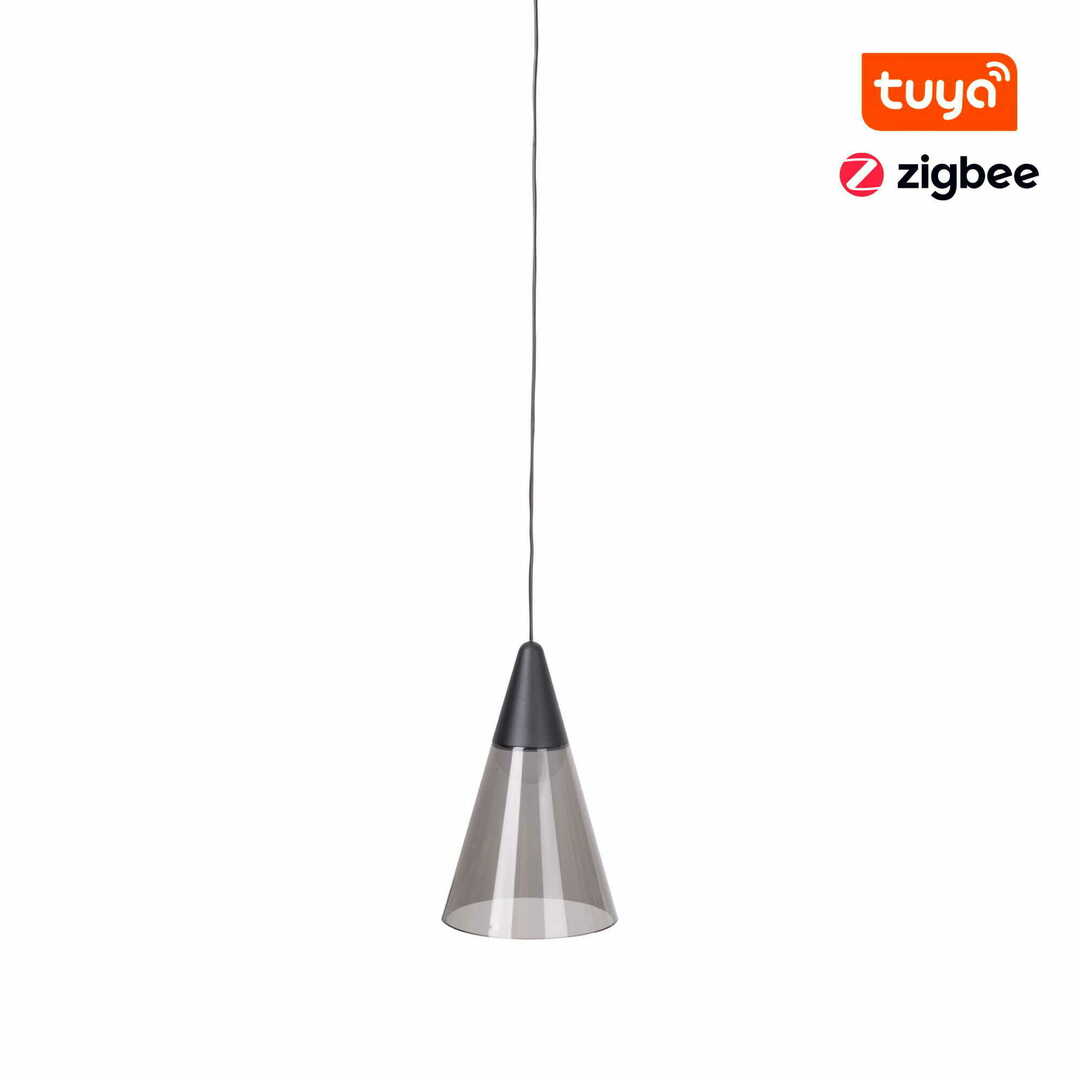 Pendant Light Max Light MAX M0015Z Zigbee Black 12 cm