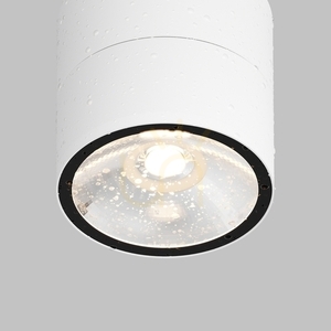 SPIN O310CL-L12W3K vonkajšie plafóny IP54 Maytoni small 4