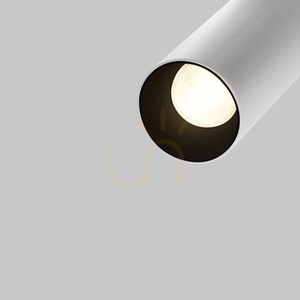 FOCUS LED reflektor na zbernicu TR032-4-5WTW-S-DD-W Maytoni small 2